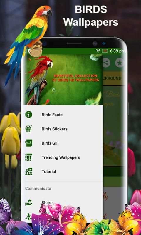Birds 3d wallpapers स्क्रीनशॉट 7