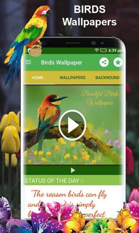Birds 3d wallpapers स्क्रीनशॉट 8