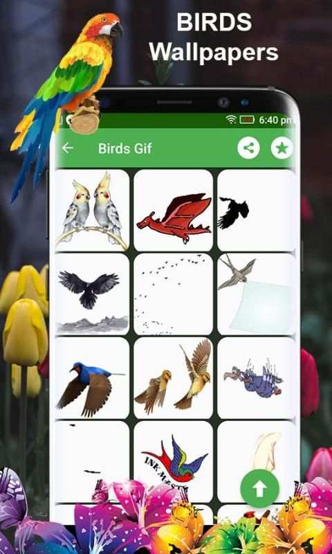 Birds 3d wallpapers स्क्रीनशॉट 4