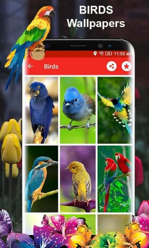 Birds 3d wallpapers स्क्रीनशॉट 9