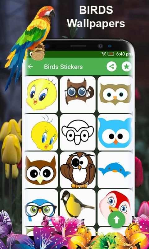 Birds 3d wallpapers स्क्रीनशॉट 5