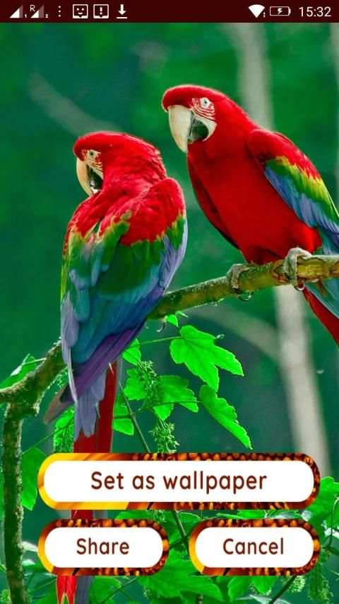 Birds 3d wallpapers स्क्रीनशॉट 13