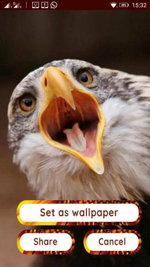 Birds 3d wallpapers स्क्रीनशॉट 12