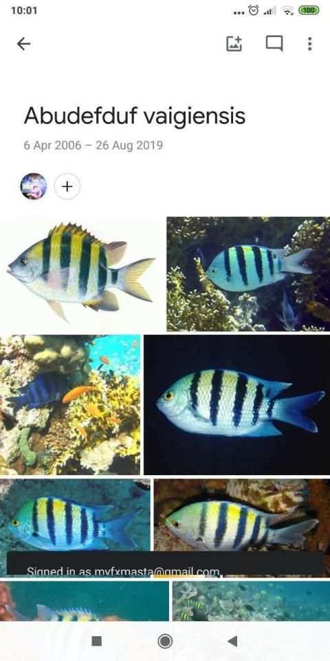 myJoran - Aplikasi Lengkap Memancing screenshot 4