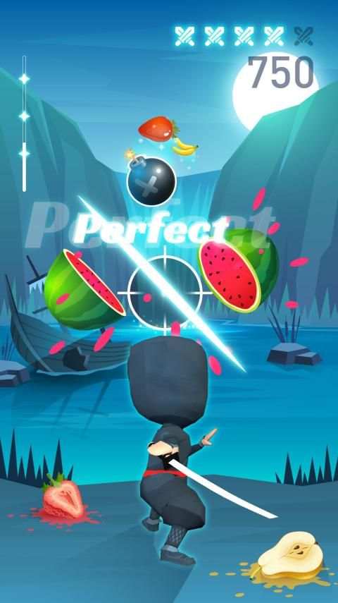 Chop Ninja : EDM Chop Fruit Game screenshot 1