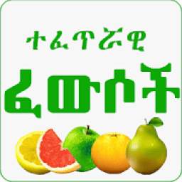 ኢስላማዊ ፈውሶች Islamic Ethiopian Traditional Medicine