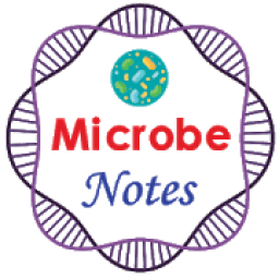 ikon Microbiology Notes
