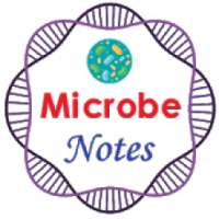 Microbiology Notes