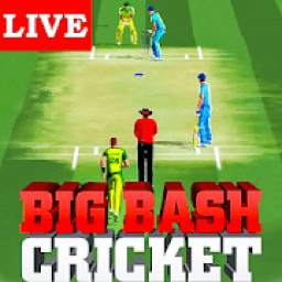 Live Big-Bash Cricket ; Real Stick Cricket Game