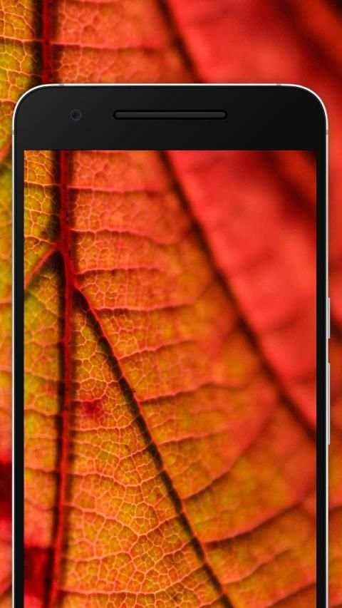 Patterns and Textures Wallpapers screenshot 15