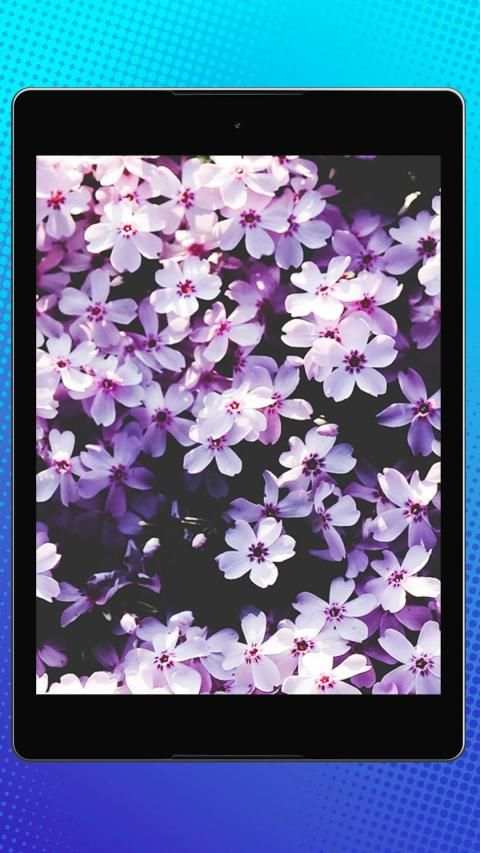 Patterns and Textures Wallpapers screenshot 6