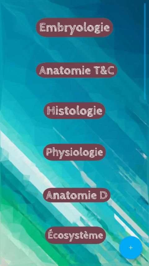 Dental-Root скриншот 6