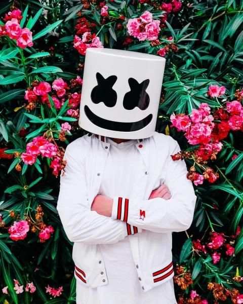 DJ Marshmello Wallpaper HD स्क्रीनशॉट 3