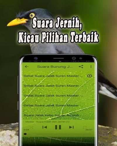 Masteran Jalak Kebo Offline screenshot 2