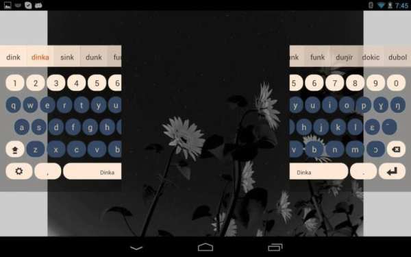 Dinka Keyboard Plugin स्क्रीनशॉट 1