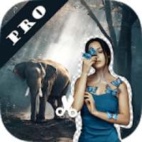 Auto Cut Out Pro