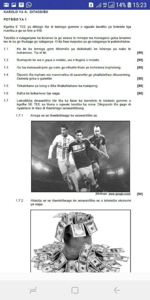 Grade 12 Sepedi HL Mobile Application screenshot 1