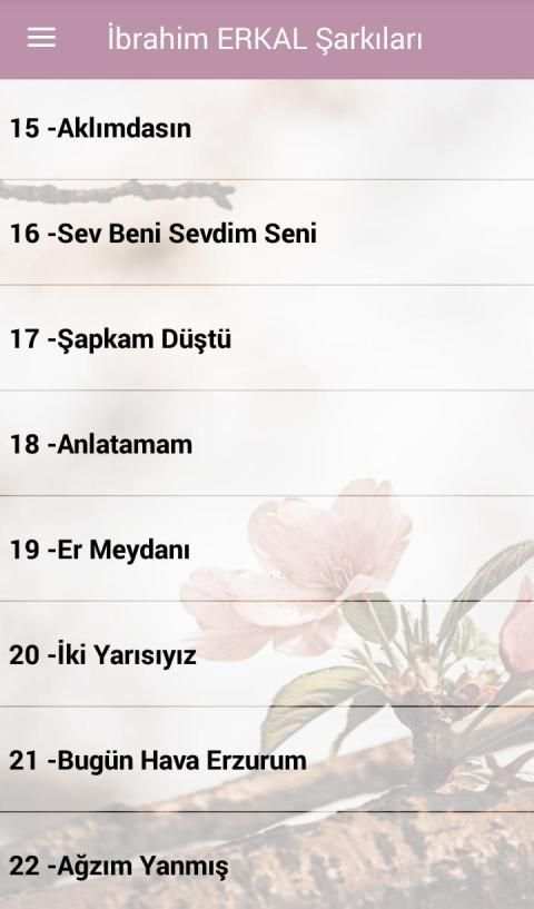 İbrahim Erkal Şarkıları İnternetsiz screenshot 5