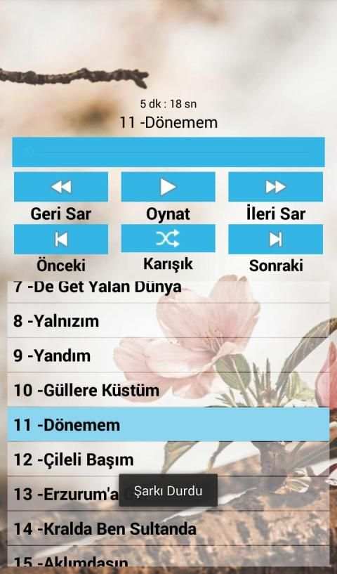 İbrahim Erkal Şarkıları İnternetsiz screenshot 2
