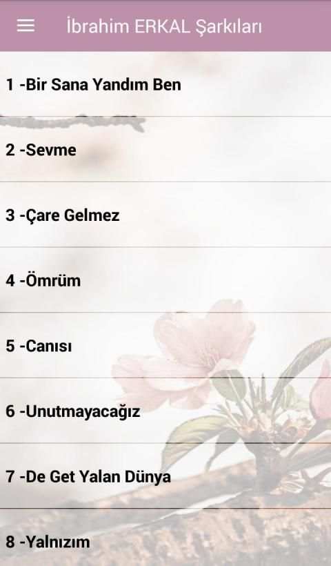 İbrahim Erkal Şarkıları İnternetsiz screenshot 6
