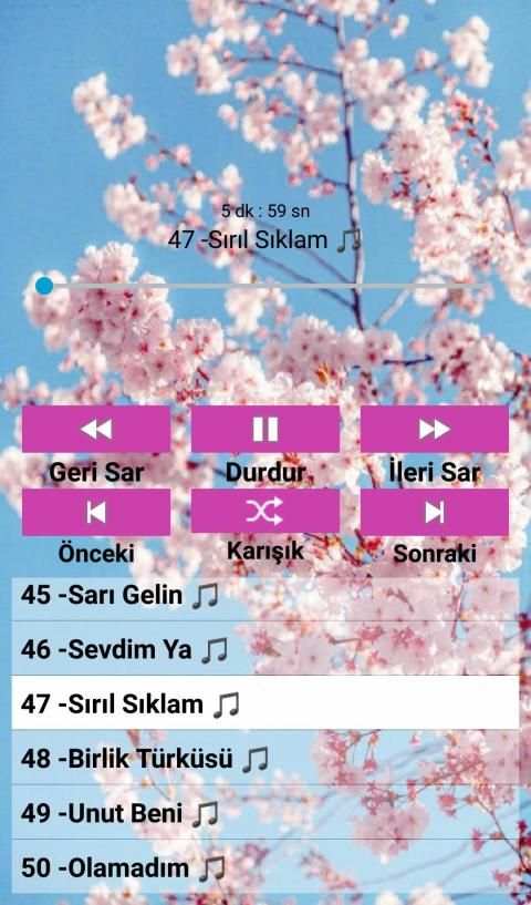 İbrahim Erkal Şarkıları (internetsiz) screenshot 3