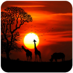 Gallery 2020 Pro आइकन