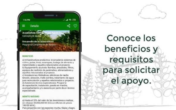 Apoyos Agricultura screenshot 4