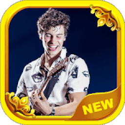 ikon Songs Shawn Mendes Offline