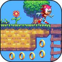 Hedgehog Secret Rings