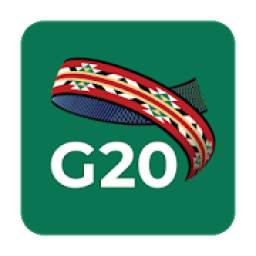 G20 Saudi Arabia 2020