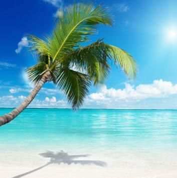 Free Download Nature Android Wallpaper скриншот 1