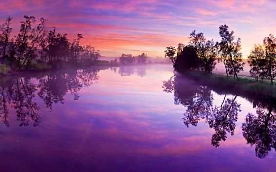 Free Download Nature Android Wallpaper скриншот 5