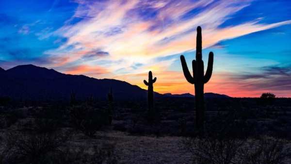 Phoenix Camera screenshot 2