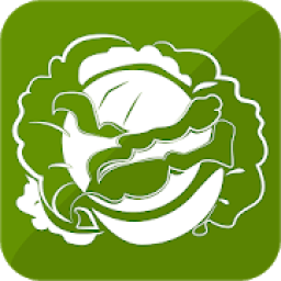 ikon Cabbage Recipes