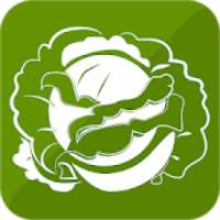 Cabbage Recipes