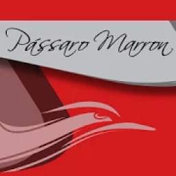 Passaro Marron