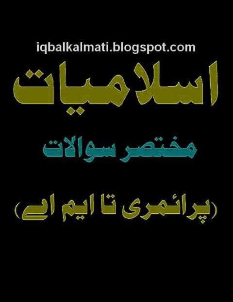 Islamiyat Knowledge Urdu Book скриншот 6