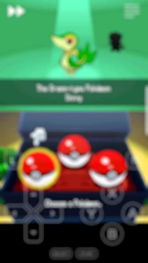 white nds (emulator) स्क्रीनशॉट 2