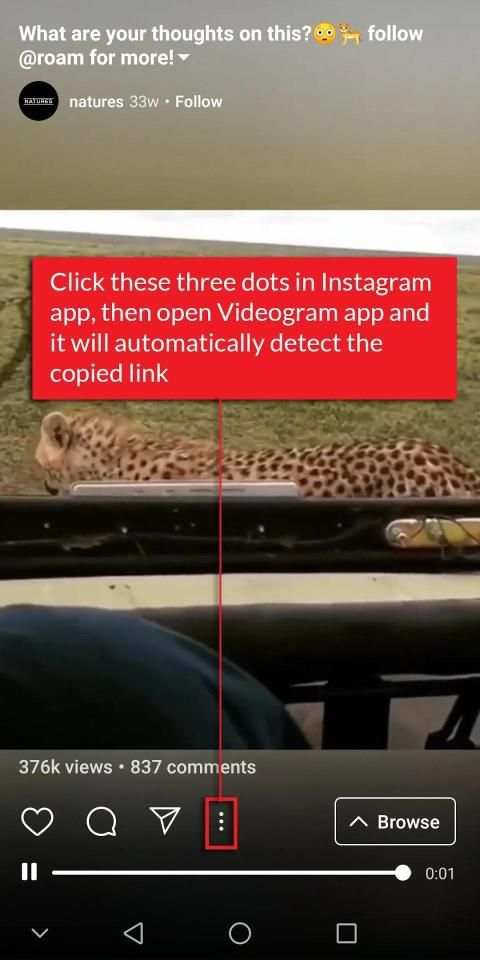 Videogram for Instagram स्क्रीनशॉट 1