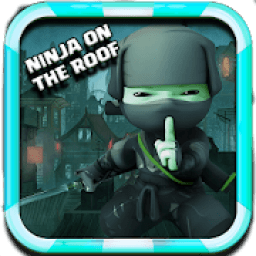 ikon Ninja On The Roof