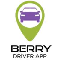 Berry Taxi Driver