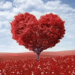 ikon Love Romance tips