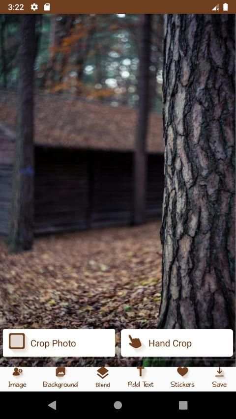 Forest Blend screenshot 12
