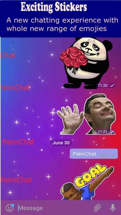 PalmChat स्क्रीनशॉट 8