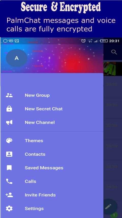 PalmChat screenshot 6