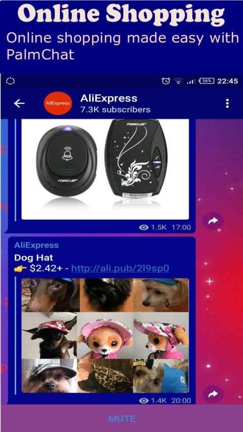 PalmChat screenshot 2