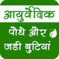 आयुर्वेदिक पौधे और जड़ी बूटियां on 9Apps