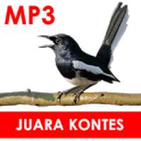 Suara Kacer Gacor MP3 Offline Masteran Kacer on 9Apps