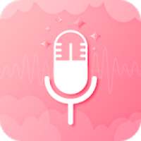 Audio Voice Recorder