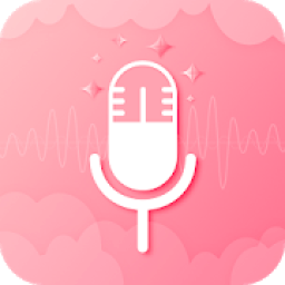 ikon Audio Voice Recorder